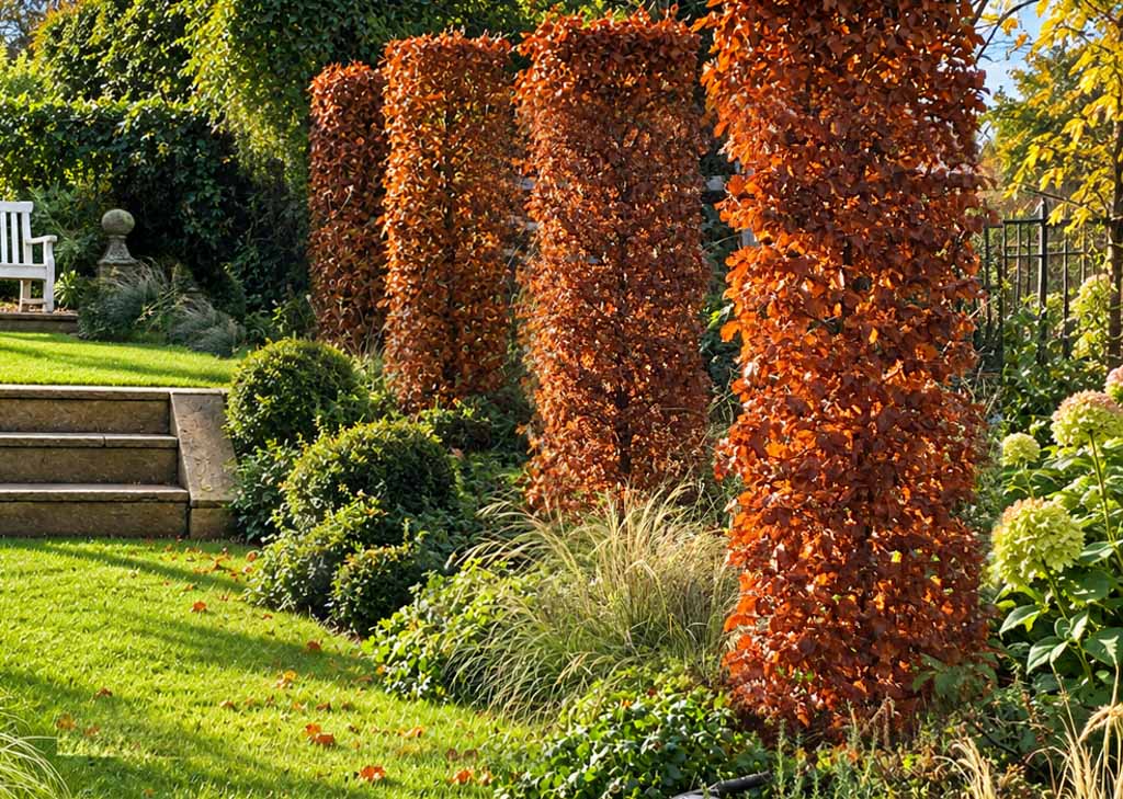 Walled farden
